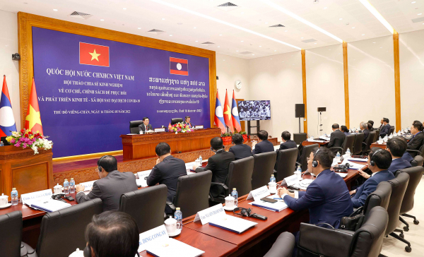 Hợp tác Quốc hội ngày càng mẫu mực, trở thành trụ cột quan trọng của quan hệ đặc biệt Việt Nam - Lào -0
