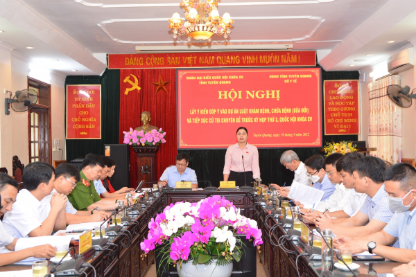 Đoàn ĐBQH tỉnh Tuyên Quang lấy ý kiến luật và TXCT chuyên đề trước Kỳ họp thứ Ba, Quốc hội Khóa XV -0