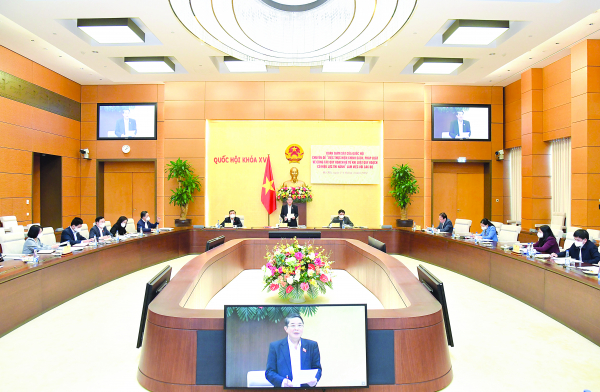 Phó Chủ tịch Quốc hội Nguyễn Đức Hải phát biểu tại cuộc làm việc với các bộ, ngành ngày 2.3	Ảnh: Trung Thành