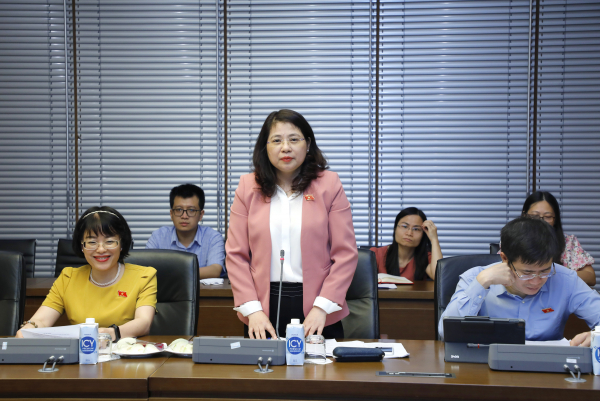 Phó Chủ nhiệm Uỷ ban Pháp luật, Trưởng Tiểu ban về dân sự Trần Hồng Nguyên phát biểu
