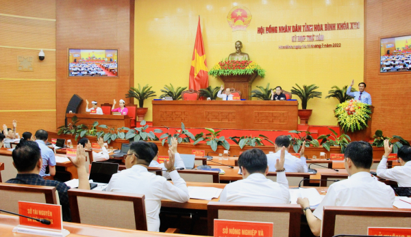 Các đại biểu HĐND tỉnh biểu quyết thông qua các nghị quyết tại kỳ họp. Ảnh Trần Tâm