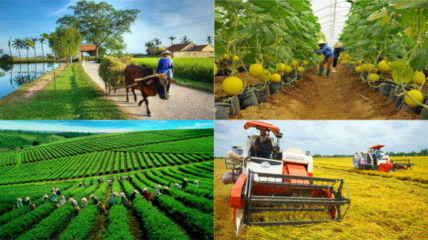Xây dựng nông nghiệp bền vững, nông thôn phát triển toàn diện