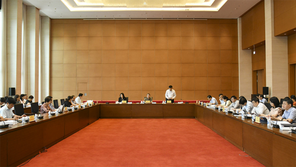 Phó Chủ tịch Quốc hội Nguyễn Đức Hải dự họp thẩm tra sơ bộ dự án Luật Đất đai (sửa đổi) -2