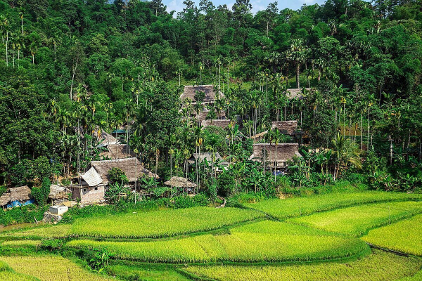 Bản làng, ruộng bậc thang, rừng nguyên sinh là những khung cảnh đặc trưng ở Pù Luông