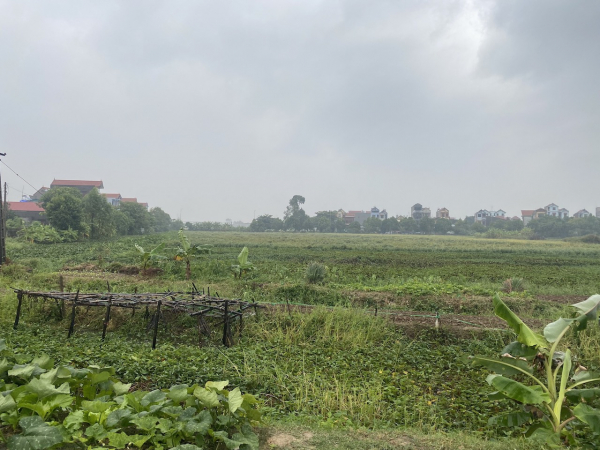 Bắc Ninh: Cảnh báo tình trạng đất chưa thực hiện đấu giá đã xuất hiện “mua bán ngầm”