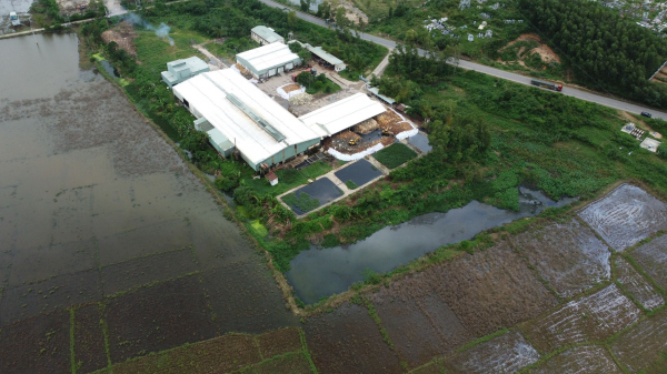 Quảng Nam: Người dân sống chung với ô nhiễm từ nhà máy chế biến mủ cao su và bột cá -0