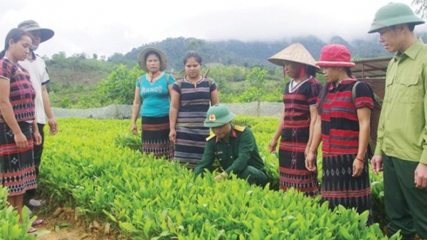 Hướng dẫn bà con trồng rừng thoát nghèo - Nguồn: Báo Thừa Thiên Huế