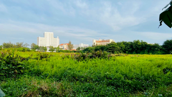 Hàng loạt sai phạm tại dự án hồ điều hòa, chỉnh trang đô thị ngay trung tâm TP Phan Thiết 