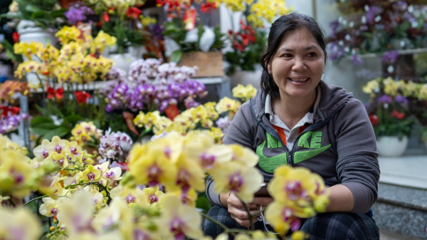 Chợ hoa Hồ Thị Kỷ - người dân TP.Hồ Chí Minh lựa những cành đẹp nhất cho kịp giao thừa -0