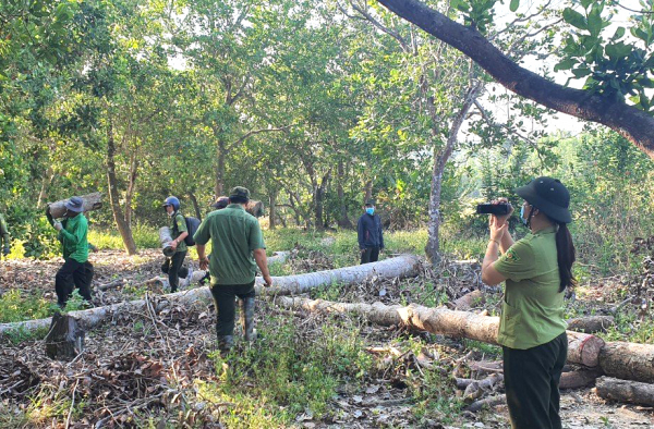 Khởi tố vụ án hình sự đầu tiên về nạn phá rừng phòng hộ tại Đồng Nai