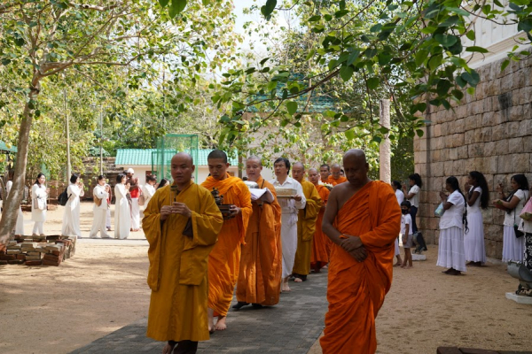 Cây bồ đề thiêng kết nối tình hữu nghị Việt Nam - Sri Lanka -0