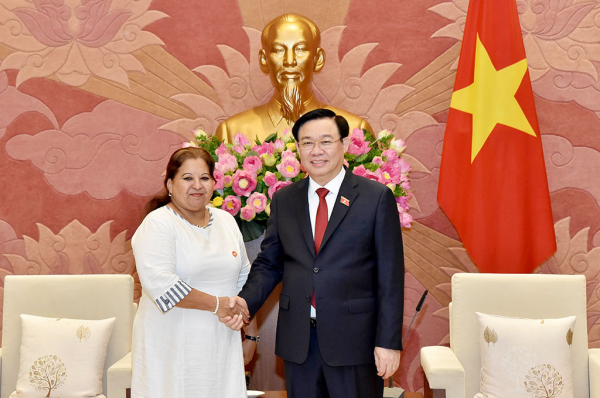 Chủ tịch Quốc hội Vương Đình Huệ: Việt Nam luôn sát cánh, sẵn sàng chia sẻ với Cuba trong mọi khả năng -0