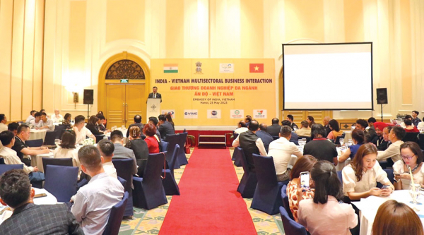 Thúc đẩy hợp tác kinh tế, đầu tư giữa Việt Nam và Ấn Độ -0