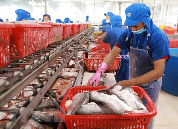 Các thị trường xuất khẩu chính của cá tra ghi nhận sự sụt giảm mạnh  -0