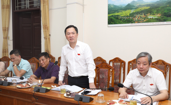 Trưởng ban Đô thị HĐND TP Hà Nội Đàm Văn Huân phát biểu tại buổi giám sát (ảnh: P.Long)