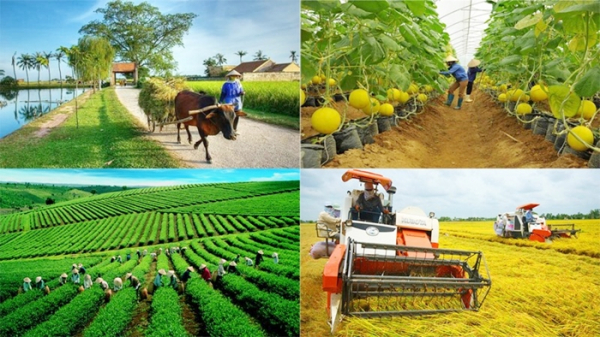 Những đóng góp của khoa học công nghệ làm thay đổi nền nông nghiệp, nông thôn Việt Nam