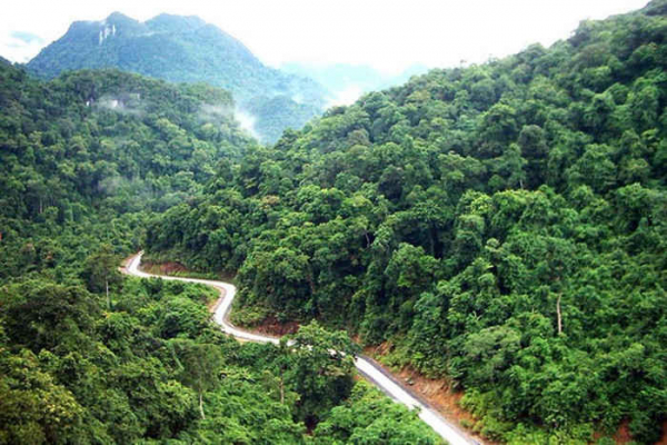 Mở rộng nguồn thu từ chi trả dịch vụ môi trường rừng -0
