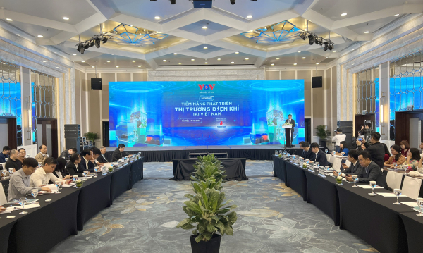 Tiềm năng phát triển thị trường điện khí tại Việt Nam -0