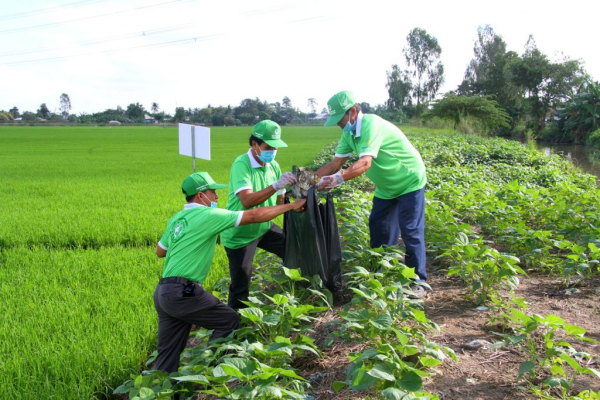 Thực trạng sử dụng thuốc bảo vệ thực vật tại Việt Nam ra sao?