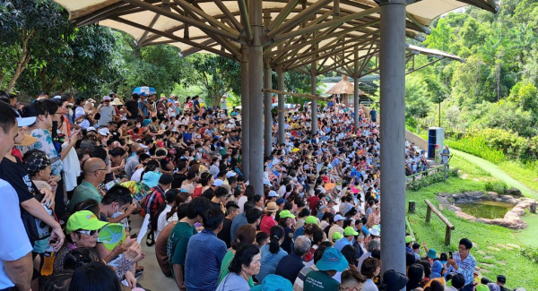 7 ngày nghỉ Tết, hơn 335.000 lượt khách đến Kiên Giang du xuân