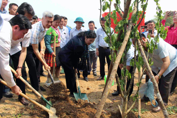 Huyện Nậm Nhùn, Lai Châu hưởng ứng Chương trình 1 tỷ cây xanh -0