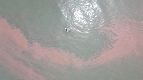 Dải nước biển màu đỏ sẫm dài 3km ở Hà Tĩnh -0