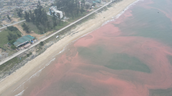 Dải nước biển màu đỏ sẫm dài 3km ở Hà Tĩnh -0