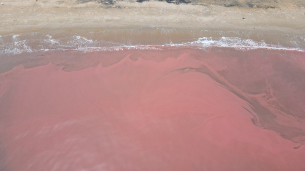 Dải nước biển màu đỏ sẫm dài 3km ở Hà Tĩnh -1