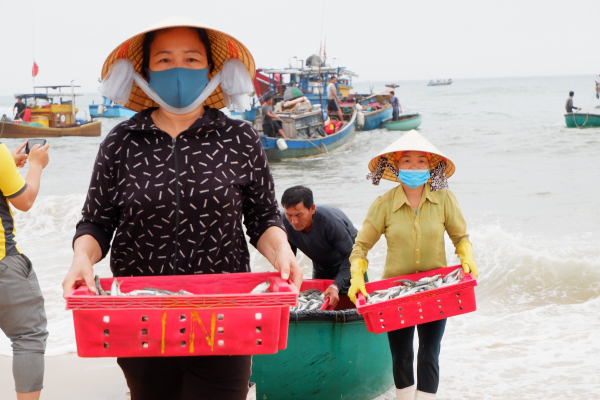 Quảng Bình: Một xã thu hơn 50 tỷ đồng từ đánh bắt thủy sản trong tháng 3 -0