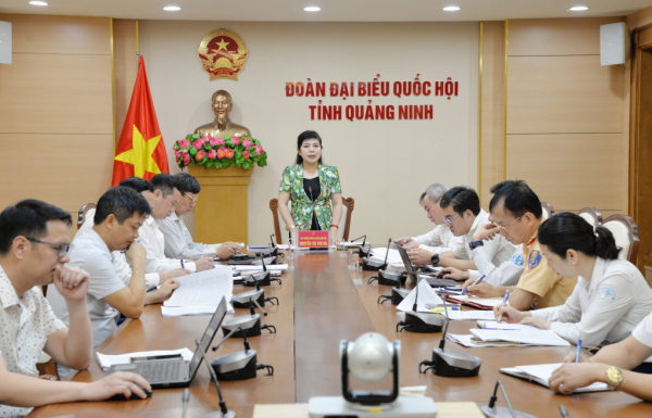 Quảng Ninh: Đoàn ĐBQH tỉnh lấy ý kiến góp ý Dự thảo báo cáo giám sát về bảo đảm trật tự, an toàn giao thông  -0