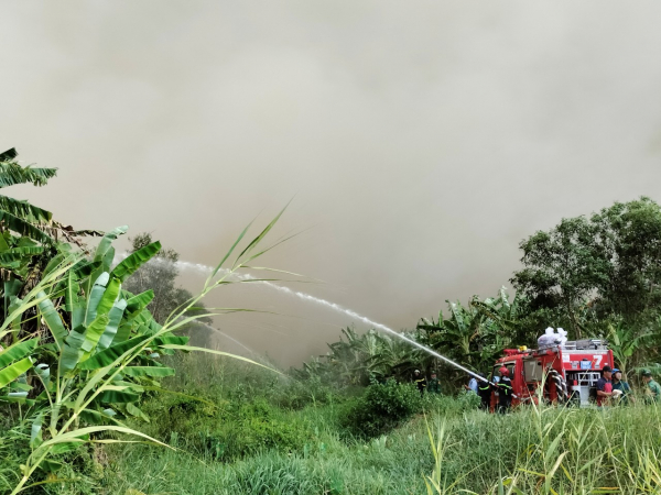 Đám cháy rừng ở Cà Mau vẫn chưa hạ nhiệt  -0
