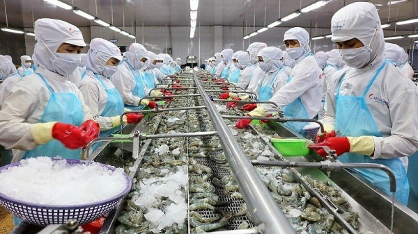 Đề nghị bãi bỏ hạn ngạch đối với tôm Việt Nam nhập khẩu vào Hàn Quốc -0