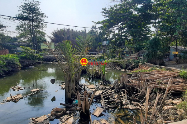 TP. Hồ Chí Minh: Nhiều hoạt động hưởng ứng Tuần lễ Quốc gia Nước sạch và vệ sinh môi trường -0