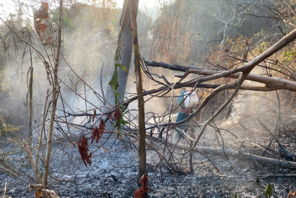 Xảy ra cháy rừng ở vùng đồi núi An Giang