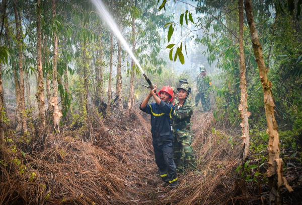 Kiên Giang: Điều động hơn 170 cán bộ, chiến sĩ chữa cháy rừng tại huyện Giang Thành