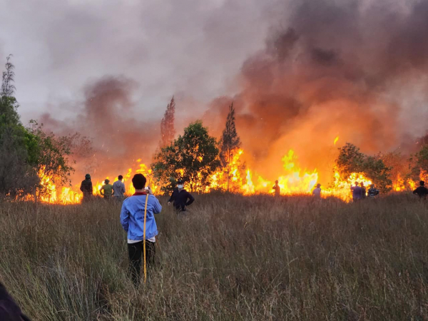 Quảng Bình: Vụ cháy rừng phòng hộ gây thiệt hại 5ha rừng ven biển  -0