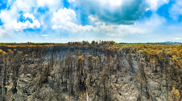 Kiên Giang: Bốn tháng đầu năm xảy ra 36 vụ cháy, thiệt hại hơn 400ha rừng
