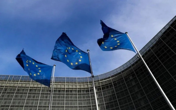 EU  thông qua luật đầu tiên về chống bạo lực đối với phụ nữ -0