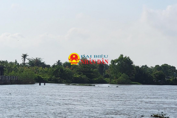 TP. Hồ Chí Minh: Sai phạm của Công ty Cổ phần Tập đoàn Anh Vinh tại Dự án chống sạt lở bán đảo Thanh Đa -0