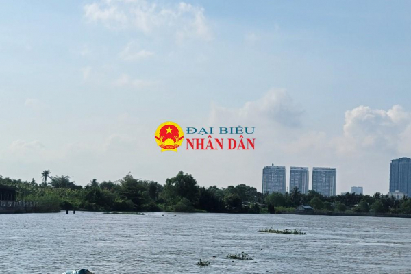 TP. Hồ Chí Minh: Sai phạm của Công ty Cổ phần Tập đoàn Anh Vinh tại Dự án chống sạt lở bán đảo Thanh Đa -0