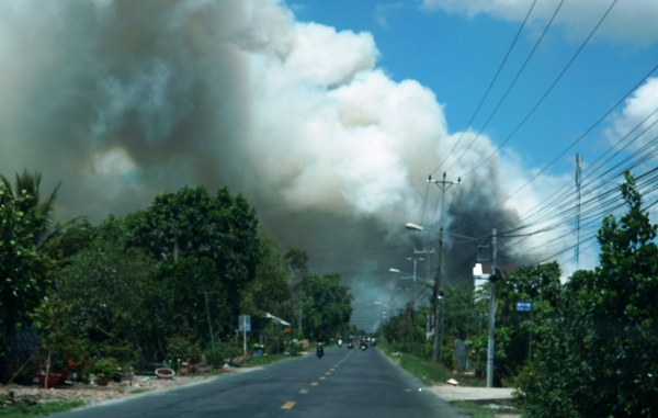 Đồng Tháp: Cháy rừng tràm Vườn Quốc gia Tràm Chim
