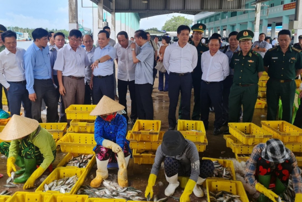 Kiên Giang:  Xử nghiêm môi giới đưa tàu cá ra nước ngoài đánh bắt hải sản trái phép