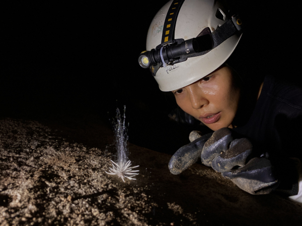 Sinh vật lạ lần đầu tiên được tìm thấy trong hang động ở Phong Nha - Kẻ Bàng -0