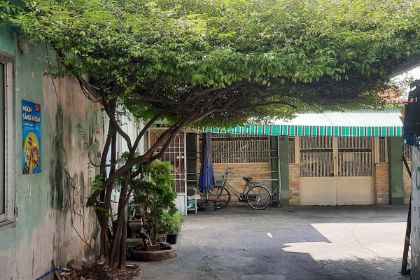 Vụ tranh chấp nhà đất tại Quận Bình Thạnh, TP. Hồ Chí Minh: Giữ nguyên phán quyết buộc bị đơn trả hơn 446m2 đất cho nguyên đơn -0