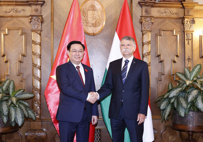 Hơn 60 giờ của Chủ tịch Quốc hội Vương Đình Huệ tại Hungary - 2