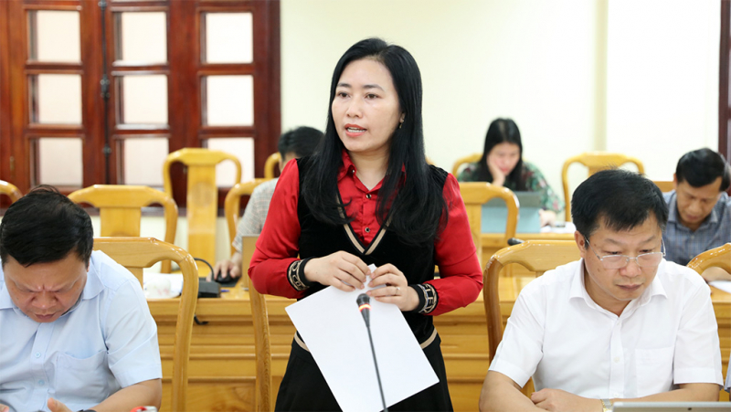 Đoàn giám sát của Ủy ban Đối ngoại làm việc tại Hà Tĩnh -1