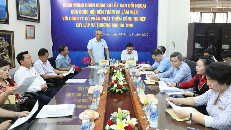 Đoàn giám sát của Ủy ban Đối ngoại làm việc tại Hà Tĩnh -5