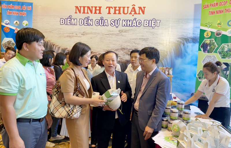 Du lịch Ninh Thuận: Đầu tư trọng điểm, phát triển sản phẩm đặc thù -0