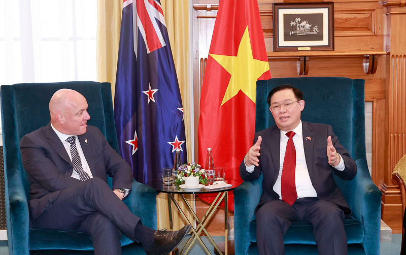 Việt Nam coi trọng quan hệ với các chính đảng trong Quốc hội New Zealand -0