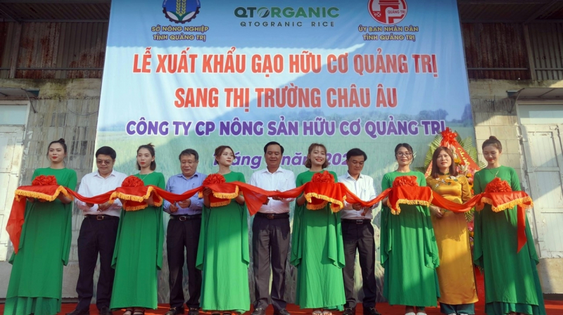 Quảng Trị dự kiến xuất khẩu 30-50 tấn gạo hữu cơ/tháng -0
